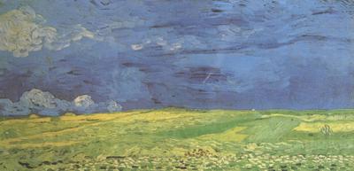 Vincent Van Gogh Wheat Field under Clouded Sky (nn04)